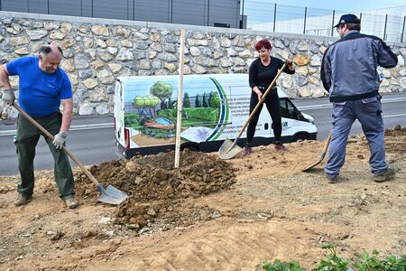 Ob dnevu zemlje sadili lipe (1)